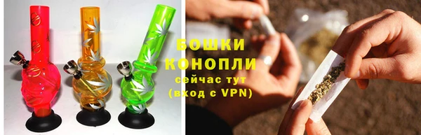 сатива Волосово