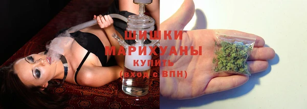сатива Волосово